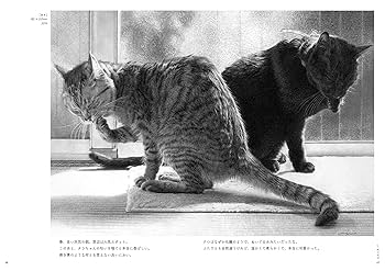 タラクロ・保護猫・地域猫 西方由美えんぴつ画集 | 西方 由美